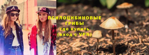 дмт Балабаново