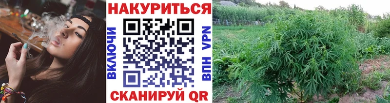 Бошки марихуана Ganja  ОМГ ОМГ ссылка  Обоянь 